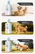 Gel De Banho Anticoceira Pet, Desodorante Para Cães - loja online