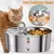 Fonte de água automática do gato para Pet, aço inoxidável