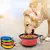 Imagem do Tigela de Silicone Dobrável para Pet Dog