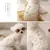 Casaco quente com D-Ring para cães pequenos e médios, roupa para cachorros - comprar online