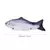 Brinquedos interativos de peixes para gatos, Carregador USB, Peixe elétrico - loja online