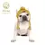 Chapéu de malha Windproof para Pet, Chapéu de malha macia para o inverno na internet