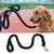 Trela do cão resistente para o treinamento, que caminha o verde preto do animal na internet