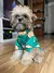 Imagem do Roupas para cães pequenos menina filhote de cachorro roupas para cães
