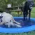 Piscina Inflável para Aspersão de Água para Pet - comprar online