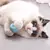 Bola inteligente interativa para gato e cachorro, Bola mágica de rolamento automatico