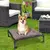 Portátil elevado anti-derrapante Pet Bed na internet