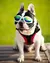 Óculos UV dobráveis para gatos e cães, óculos de sol da moda
