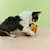 Bola de pelúcia interativa com sinos para cães, Mastigar brinquedo - comprar online