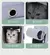Bolsa transversal transfronteiriça para gatos, bolsa para animais de estimação