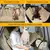 Capa protetora para assento de carro de cachorro, à prova d'água - comprar online