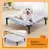 Imagem do Cama dobrável elevada para animais de estimação, casa de gato
