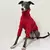 Camisola de gola alta malha para o Natal, Camisola galgo italiana, Roupa quente na internet