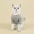 Imagem do Roupa Fofa para Cachorro, Gato Pequeno, Confortável e Respirável Hoodie Pet