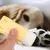 Creme De Proteção De Pata De Pet, Hidratante De Pé De Cão - Seu Little Pet