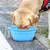 Tigela de Silicone Dobrável para Pet Dog