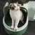 Caixa de areia totalmente fechada para gatos, WC para gatos de grandes dimensõe