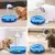 Brinquedos interativos para gato - Seu Little Pet