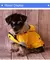 Roupas grandes para cães Impermeável Capa de chuva para cães Pet Jaqueta - comprar online