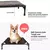 Imagem do Portátil elevado anti-derrapante Pet Bed