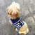 Conjunto de coleira estilo marinho para cachorro de estimação - loja online