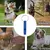 Apito portátil do cão para parar de latir, Dog Recall ajustável na internet