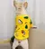 Camisola Haki de veludo quente para cães, roupa para cães, conjunto hanbok