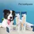 Creme dental universal para cães e gatos, produtos de limpeza na internet