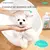 Gel De Banho Anticoceira Pet, Desodorante Para Cães - Seu Little Pet