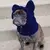 Macio morno velo chapéu de morcegos para cães, buldogues franceses - Seu Little Pet