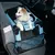 Bolsa Transporte Pet, Gaiola Portátil para Animais de Estimação, Dobrável - comprar online