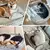 Sofá interior cama para cães e gatos, Puppy House - loja online