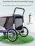 Carrinho, Cão idoso, Grande gigante Outing Cart - loja online