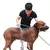 Multi-Funcional Chuveiro Bico para Pet, Silicone Massagem Ferramenta - comprar online