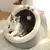 Cama para gato, Almofada de descanso lavável - Seu Little Pet