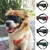 Óculos para cães com alça ajustável para raças pequenas - comprar online