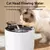 Dispensador de água automático para gato, circulando - comprar online