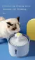 Fonte Interface USB de água potável para animais, Filtros de Carvão Ativado na internet