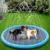 Piscina Inflável para Aspersão de Água para Pet - Seu Little Pet