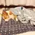 Tapete de Cama para Cachorro Macio Engrossado - Seu Little Pet