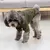 Casaco grosso com capuz para cachorro - Seu Little Pet