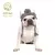 Chapéu de malha Windproof para Pet, Chapéu de malha macia para o inverno