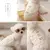 Casaco quente com D-Ring para cães pequenos e médios, roupa para cachorros - loja online