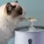 Fonte Interface USB de água potável para animais, Filtros de Carvão Ativado