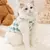 Roupas de gato sem penteados quentes, suéter cardigan com fivela na internet