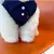 Colete, roupa do cachorro, camisa de gato, chihuahua, filhote - Seu Little Pet