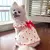 Imagem do Vestido refrescante para cachorro, arco fino, impressão de coração