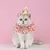 Chapéu de renda para aniversário de pet, babador bonito de gato e cachorro - comprar online