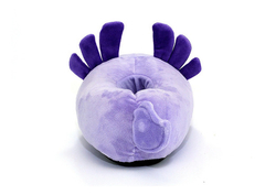 Pantuflas De Axolote Ajolote Ojitos Kawaii - SundaraShopMx