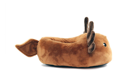 Imagen de Pantuflas De Axolote Ajolote Ojitos Kawaii